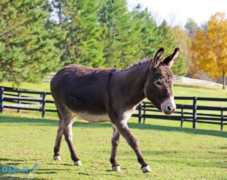 342e315f 47dc 4add 9ff9 d6ff4b4e8ce1