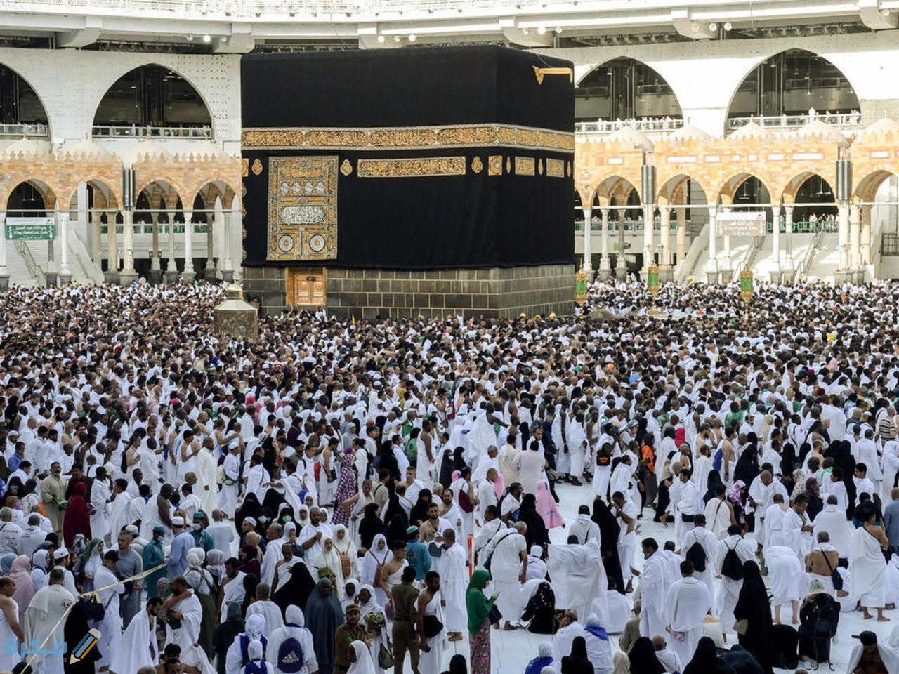 4610D55A 690B 4C20 99C3 B34DADDC19CF