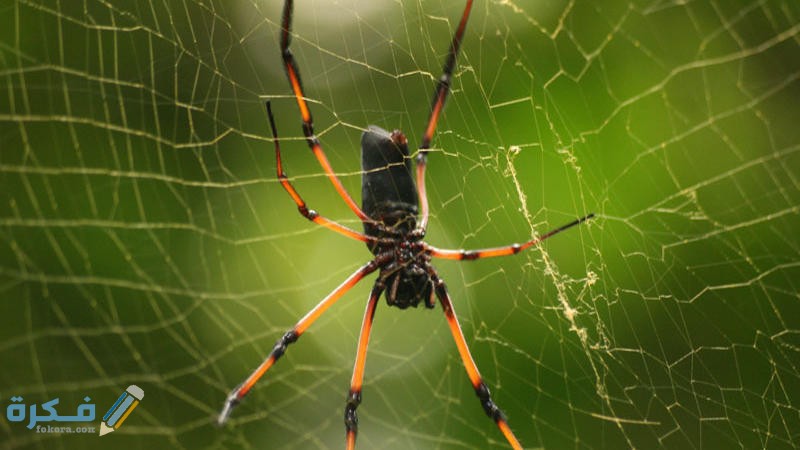 83086980 12f4 444b ba1a 34b99623b043