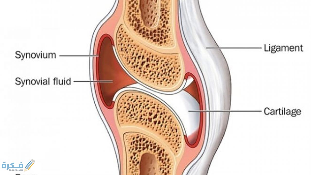 الانزلاق الغضروفي
