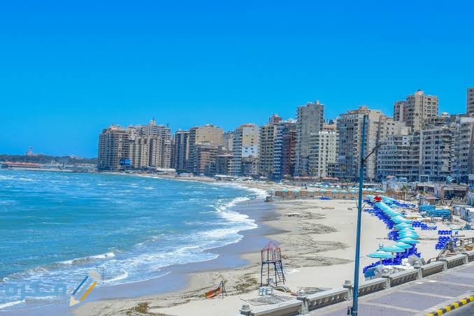 images 2021 06 08T011148.648