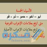 علامات نصب الأسماء الخمسة