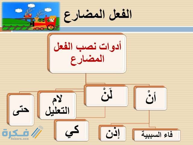 images 2021 06 09T102537.211