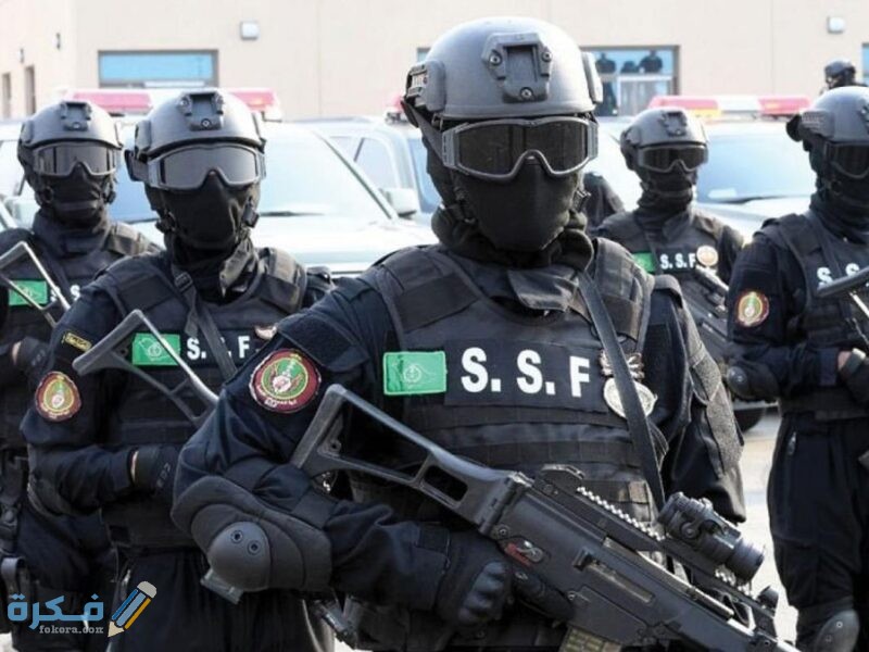 wzyf qwt lmn lkhs 800x600 1