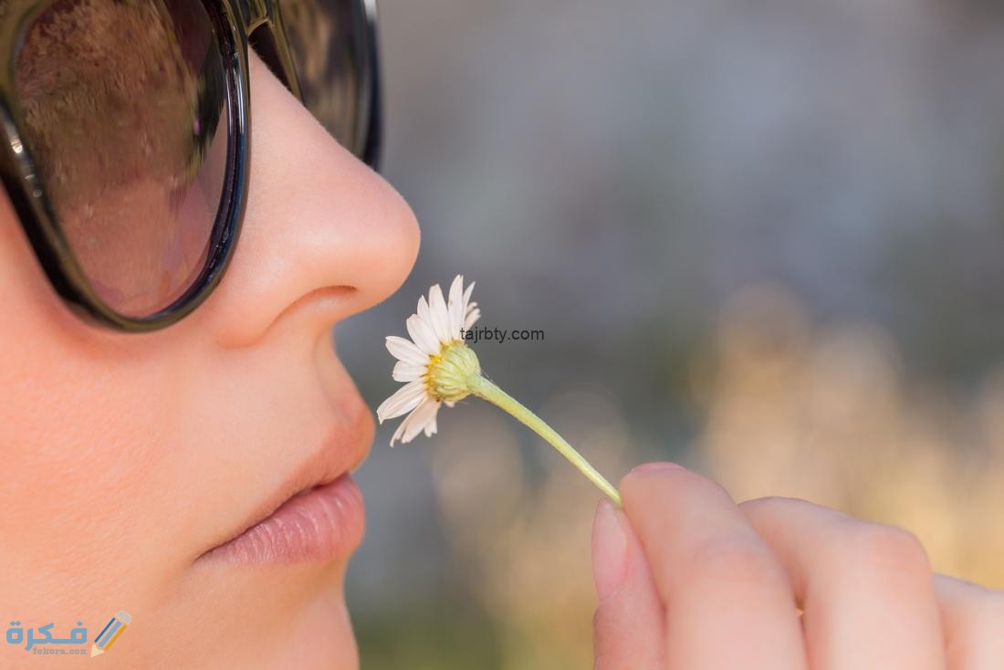 تجربتي في علاج حاسة الشم 5 اسباب فقدان حاسة الشم