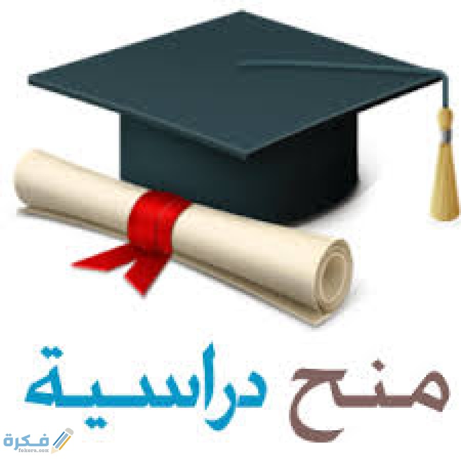 مؤسسة مصر الخير