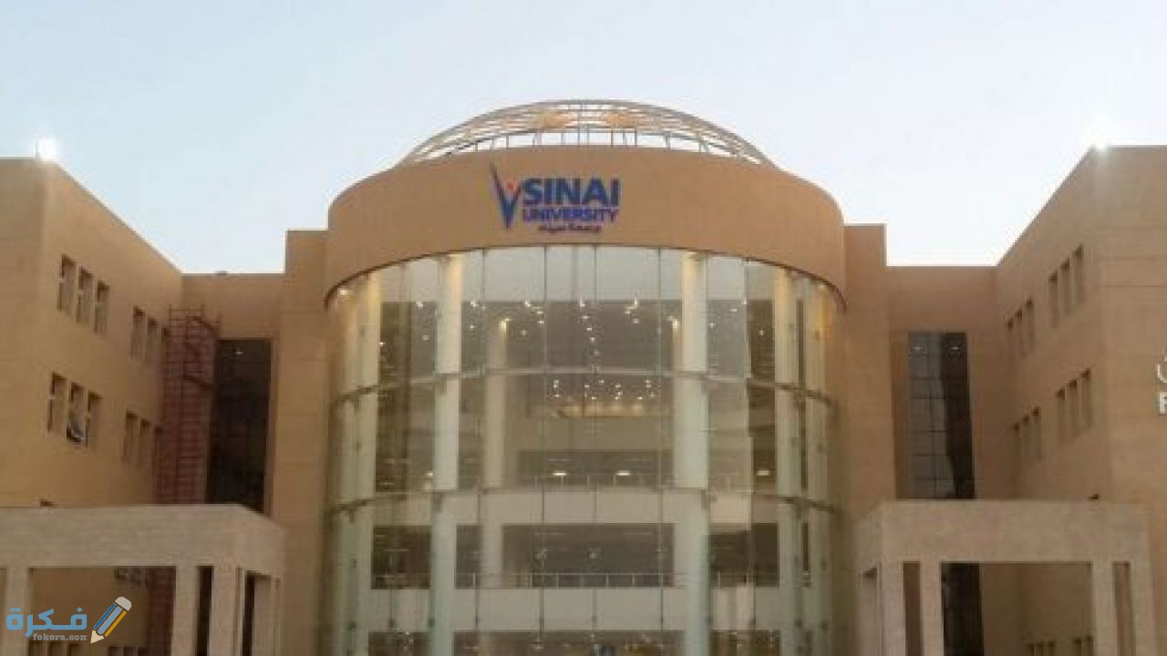 هل جامعة سيناء معتمدة محليا ودوليا 5 تخصصات الدراسة في جامعة سيناء