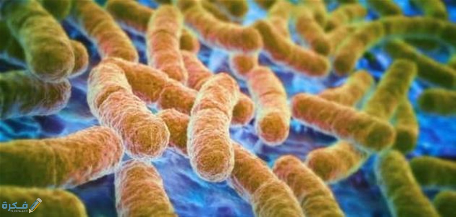 طرق الوقاية من التهاب المعدة