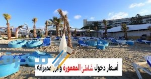 1AD6AB93 DE34 4E73 B656 661105A3FEB3