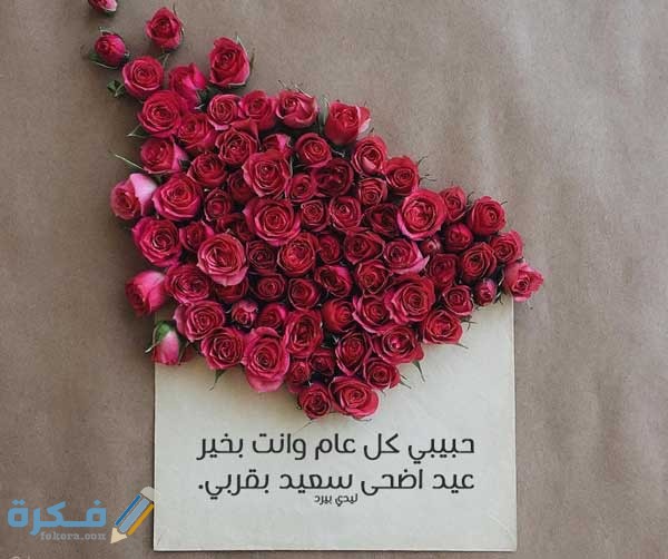 1ED4E69B C1FC 4DBC B2D8 04614ABD7D25