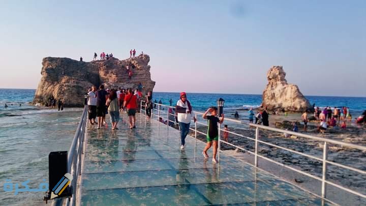 3C2C415C 1C4A 423E 8901 5D89AFC4A6C2