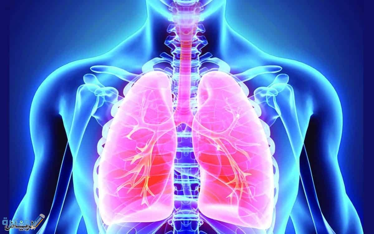 مسئولية الجهاز التنفسي