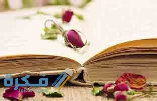 867C7034 B4ED 4ED7 B0CA A51B7A3F5460