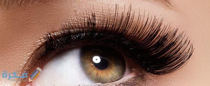 A9BBA2E0 1D3B 4FC1 8755 4B682F2EB040