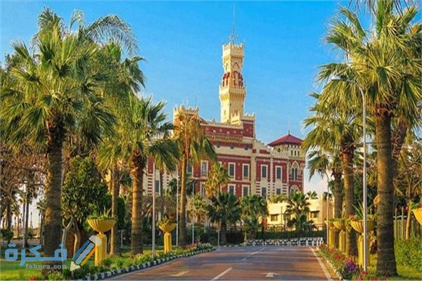 C19C004B 744A 48C5 AC58 D3CDE71A7F7A