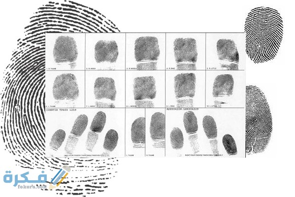 fingerprints