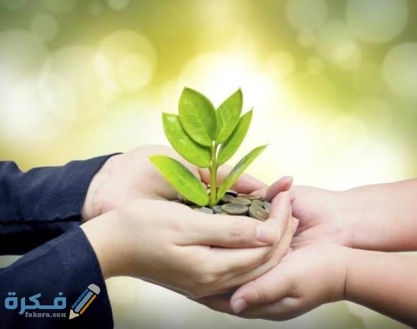 images 2021 07 15T011504.217