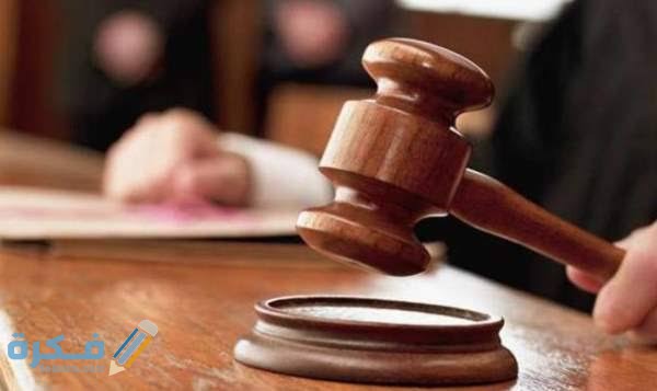 images 2021 07 15T011810.229