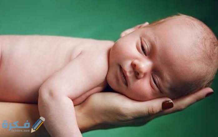 images 2021 07 24T033013.194