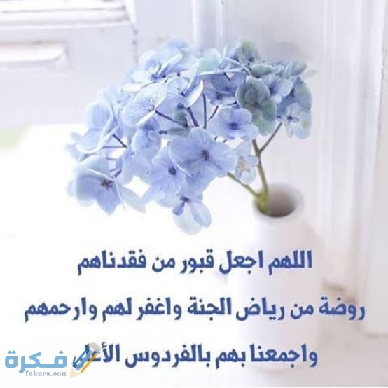 images 2021 07 26T082920.994