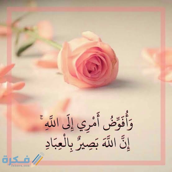 images 2021 07 26T170256.269