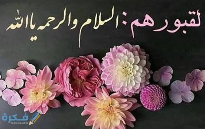 images 2021 07 28T022145.680