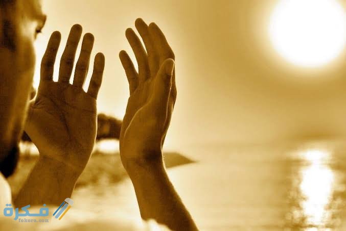 images 2021 07 28T193324.937