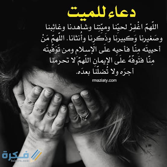 images 2021 07 28T194333.089 1