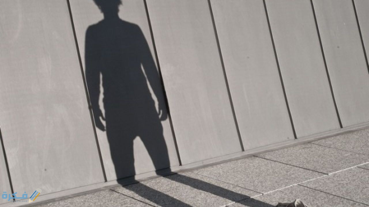 معلومات تكون مخيفة عن قرين الأنثى