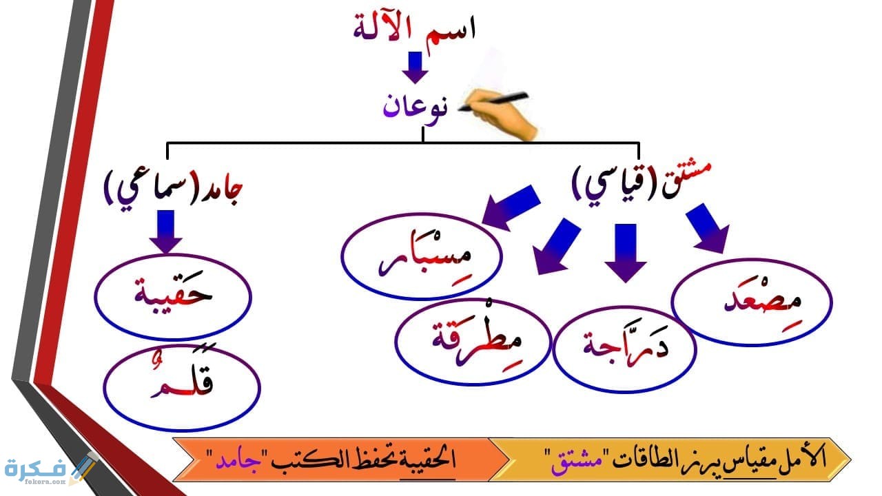 الاسم الجامد والمشتق 2 الاسم الجامد والمشتق