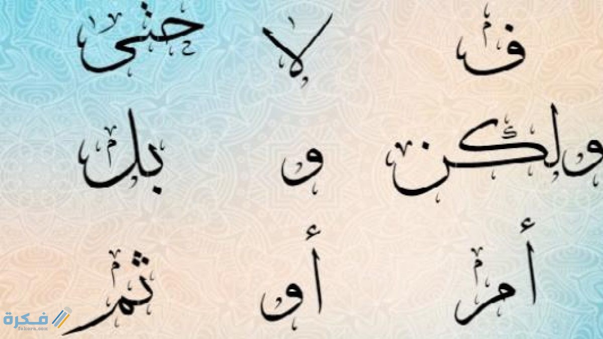 شرح حرف العطف فاء
