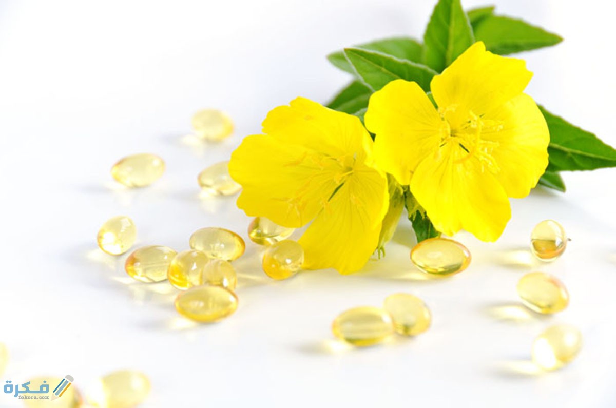 ماذا تعرف عن زهرة الربيع المسائية