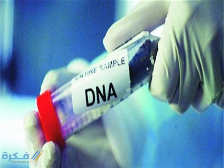 معلومات عن تحليل إثبات النسب في السعودية وسعره
