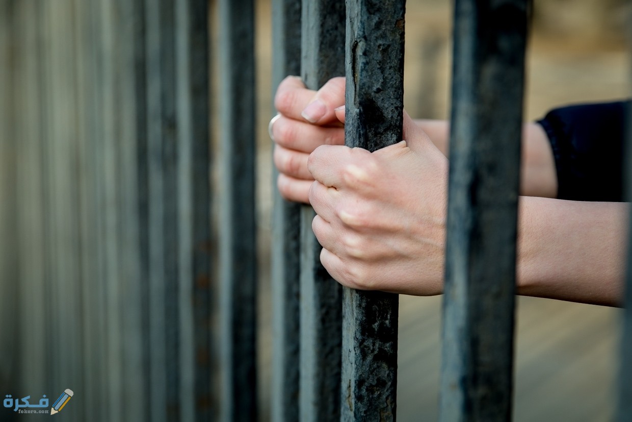 من هم سجناء الحق العام 3 من هم سجناء الحق العام