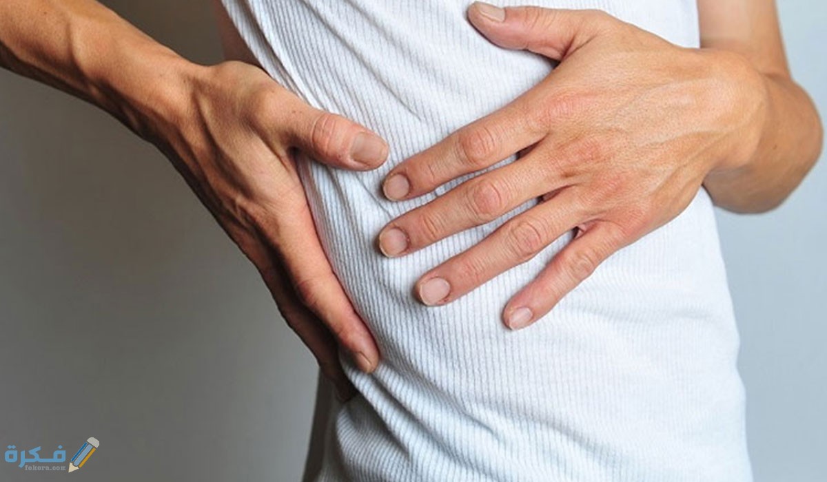 كم عدد الضلوع في جسم الإنسان