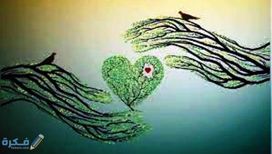 صور الوئام داخل المجتمع