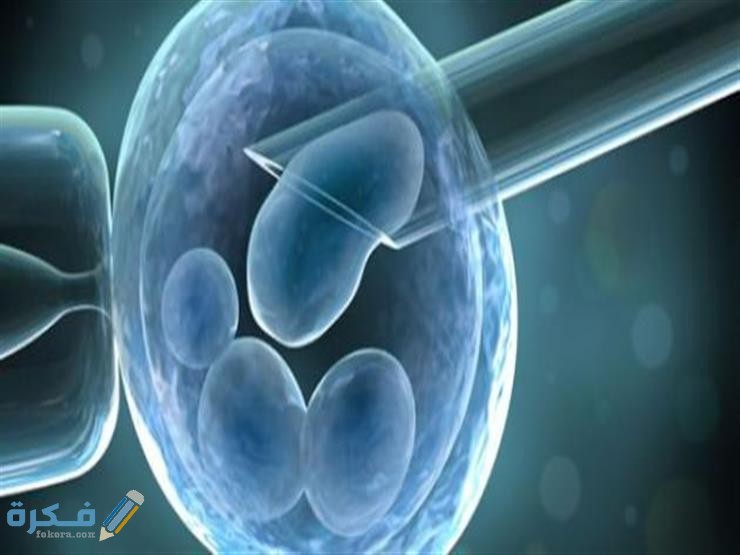 افضل دكتور اطفال انابيب في اربد