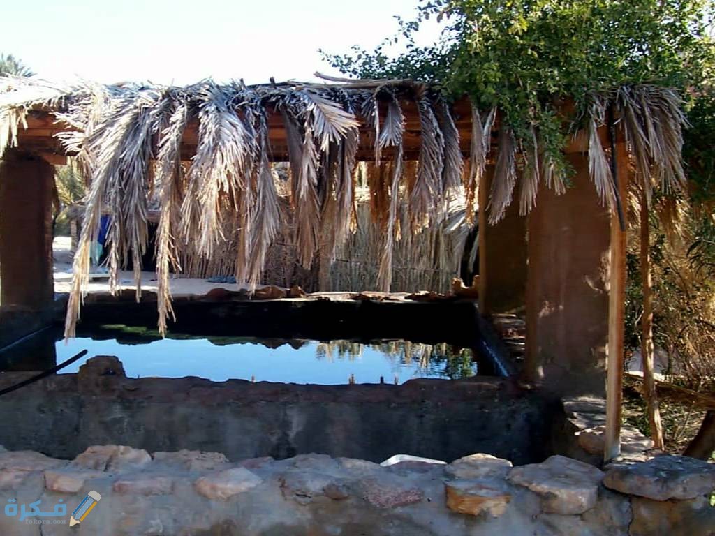 امثلة الواحات في افريقيا