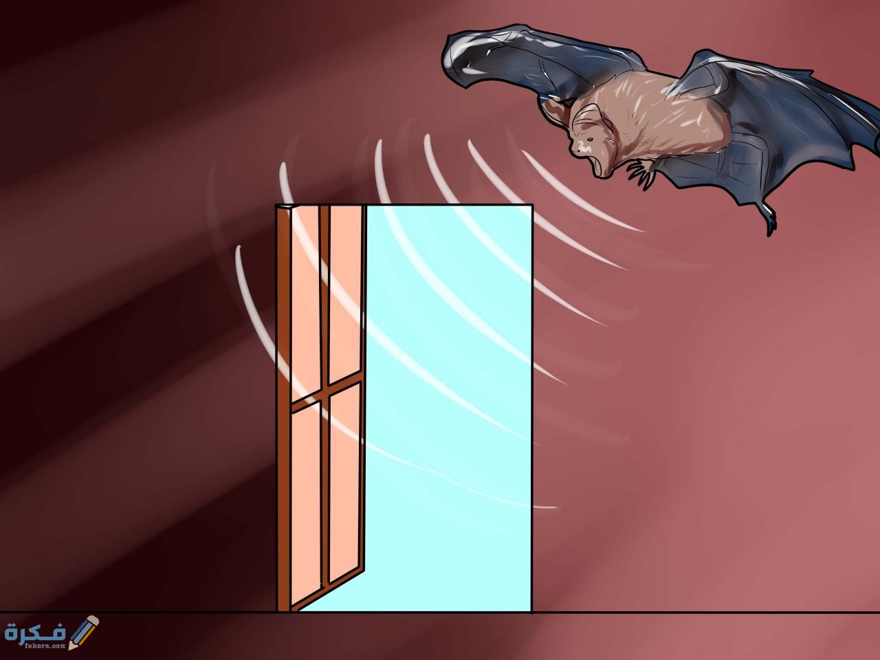 ماذا يدل دخول الخفاش إلى المنزل 4 ماذا يدل دخول الخفاش إلى المنزل