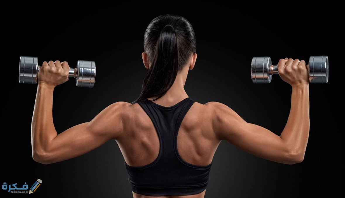 الدهون مقابل العضلات