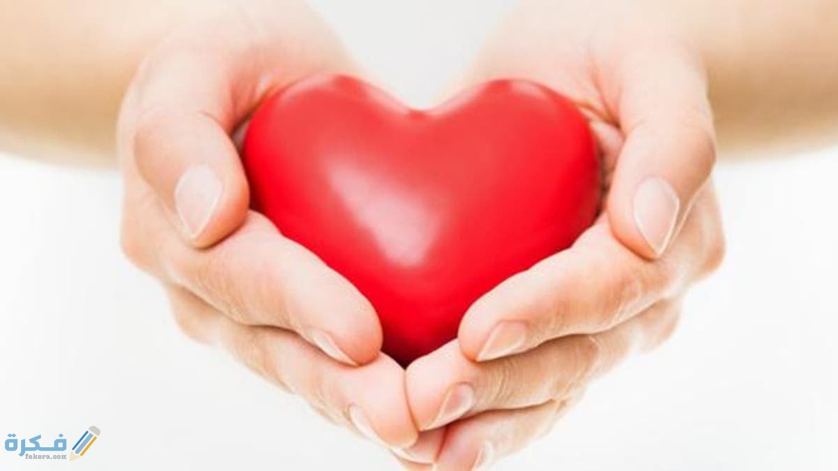 المزيد عن اختبار الفيزيولوجيا الكهربية