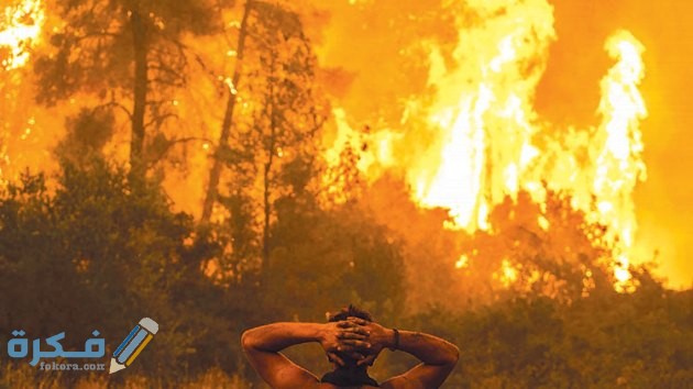 C40BD8C2 12AA 4C7D BA88 059C31A9E0A1