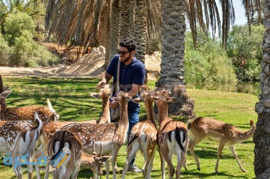 FF71CA82 D7C1 4050 8AE9 B00B16CEF6D5