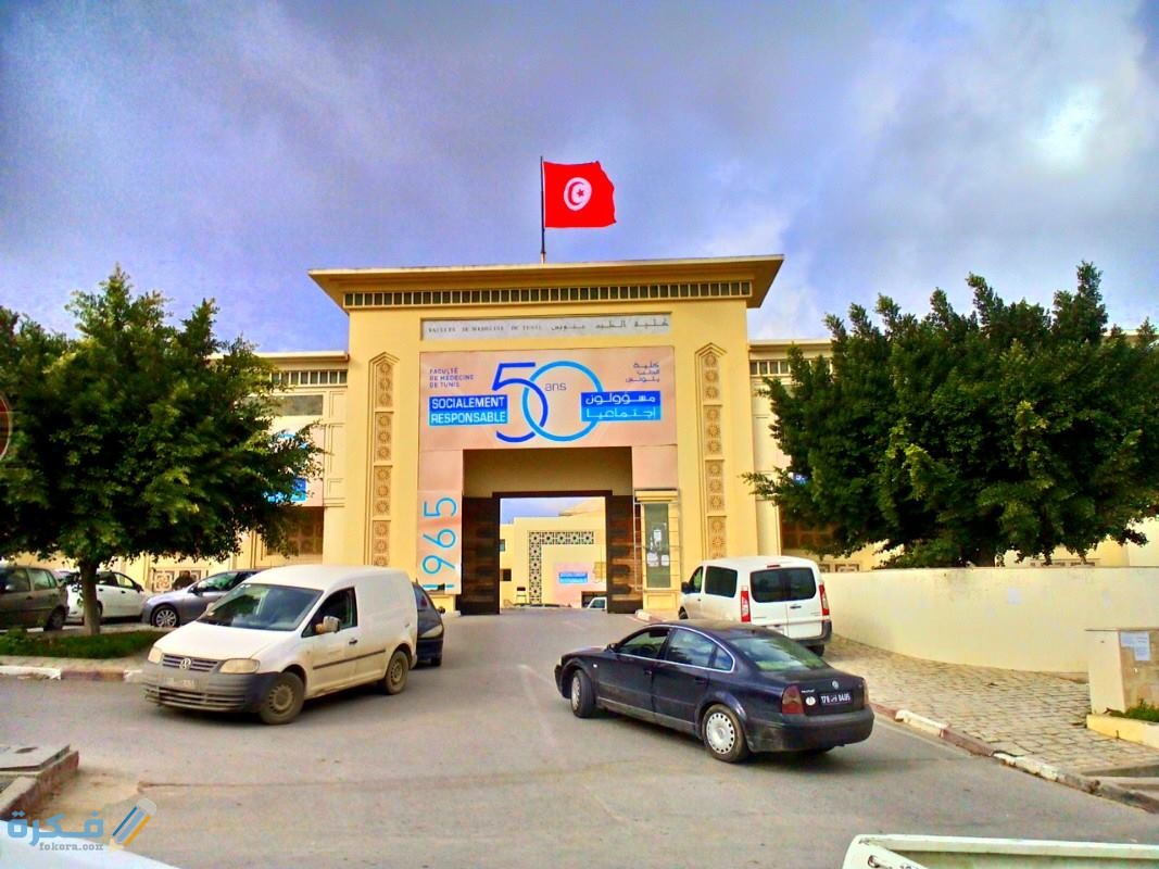 أفضل دكتور أطفال أنابيب في تونس