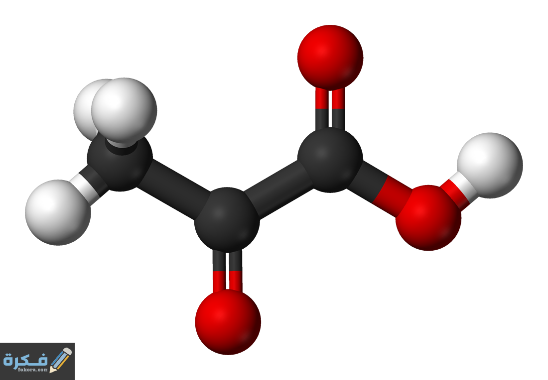 استقلاب حمض البيروفيك للعصارة الخلوية