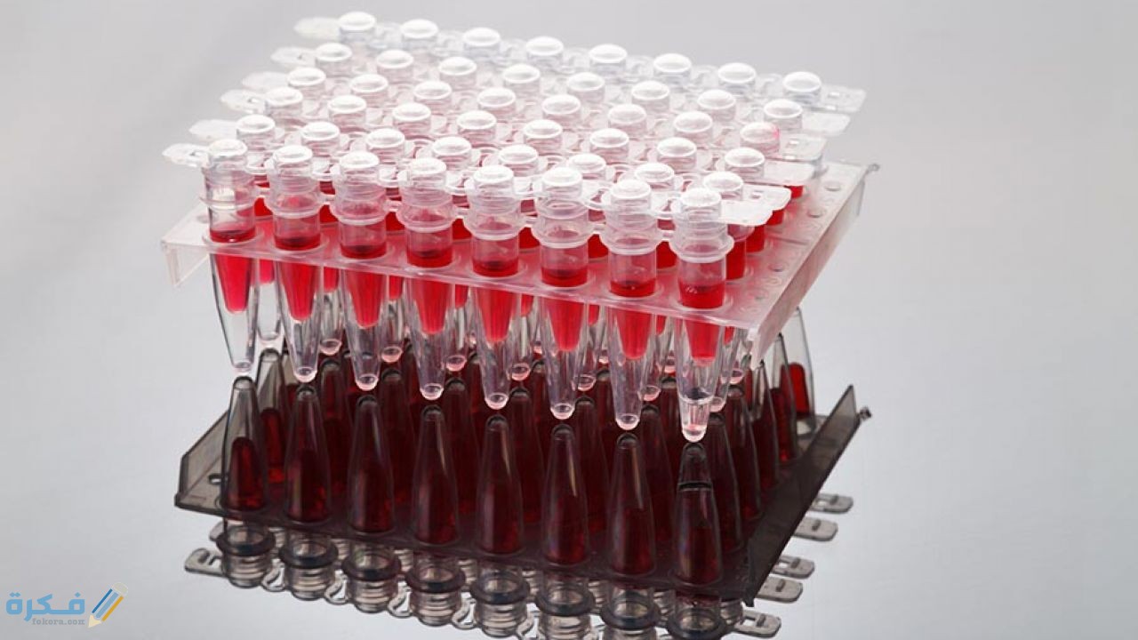 أين يخزن الدم