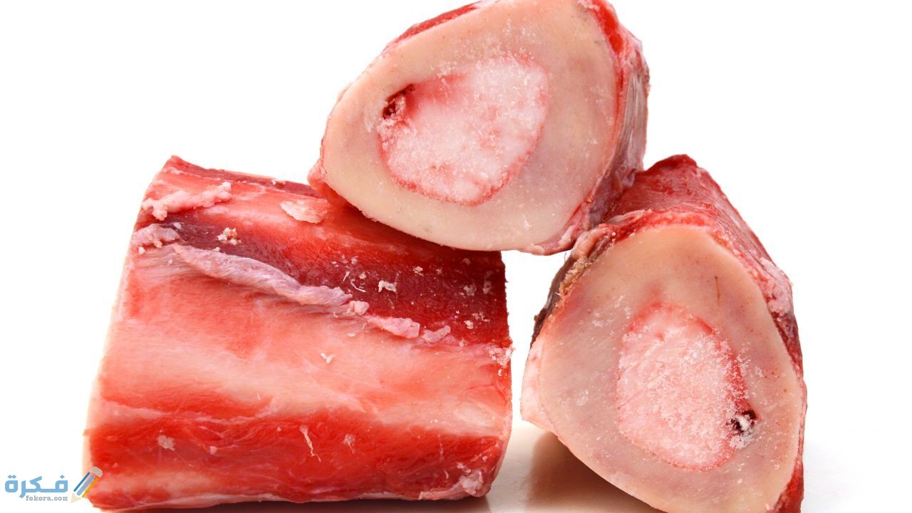 أين يوجد نخاع العظم؟ 4 نخاع العظم