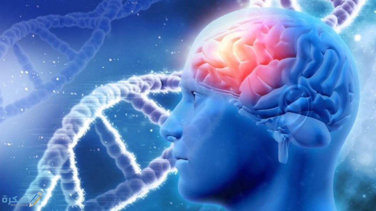 كم عدد خلايا المخ 1 خلايا المخ