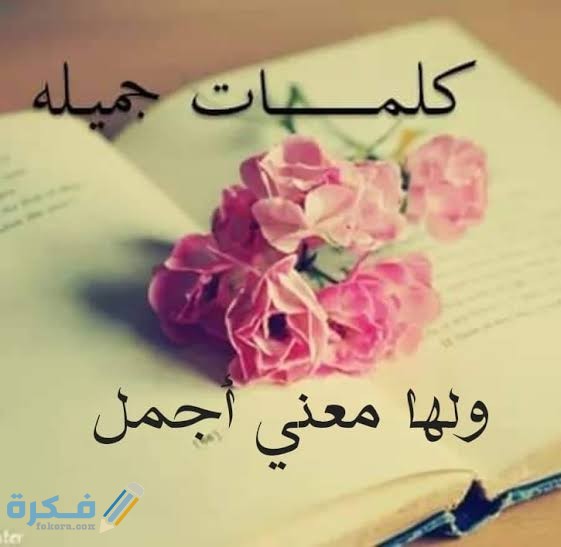 images 2021 07 31T153647.072