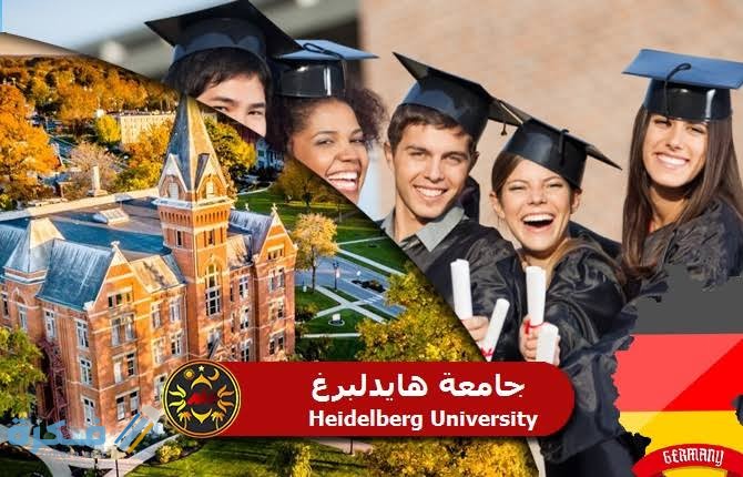 images 2021 08 05T021449.815